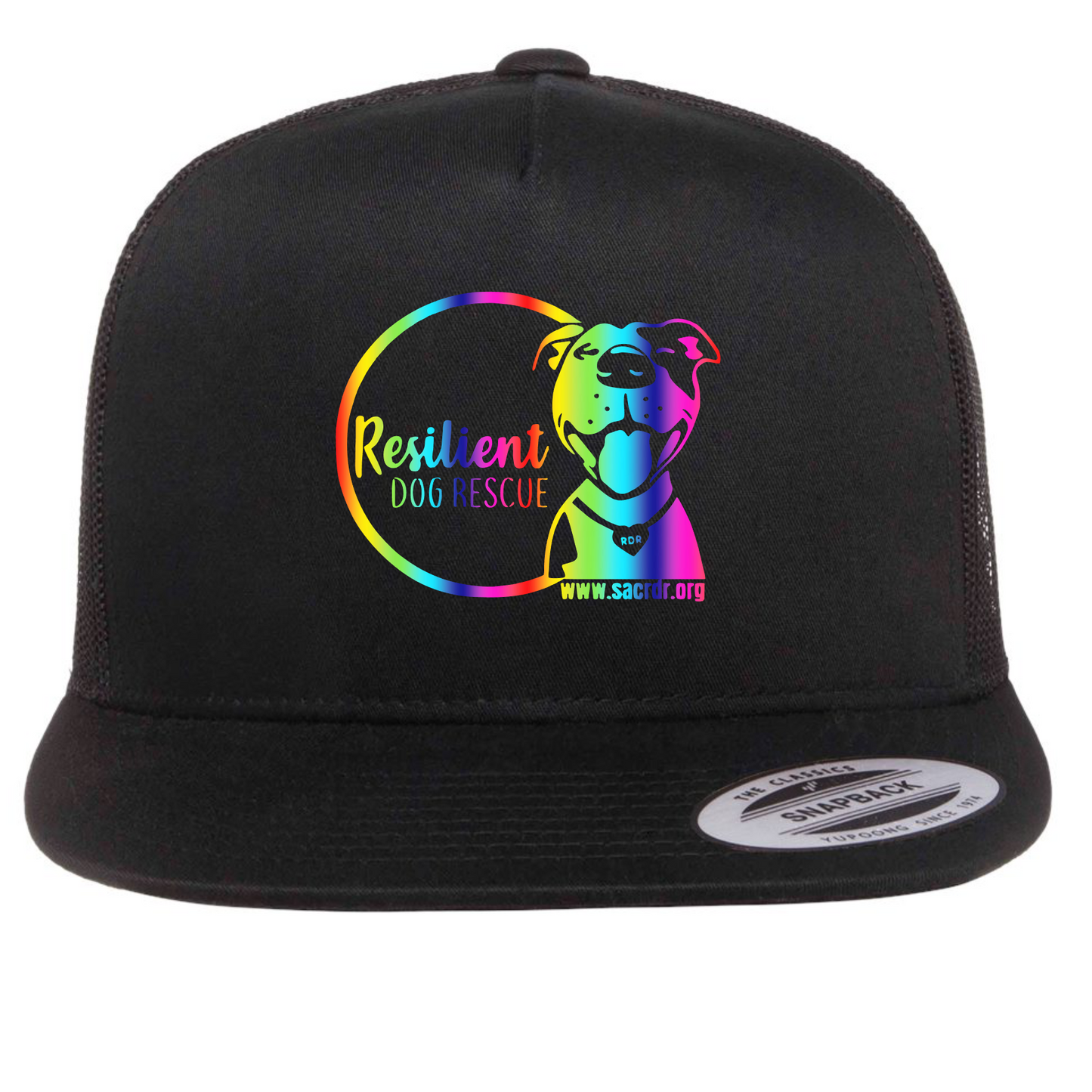 Resilient Dog Rescue Rainbow Logo Flat Bill Snapback Hat
