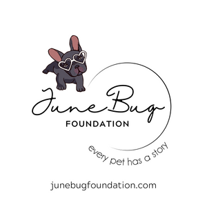 June Bug Foundation