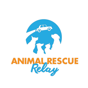 Animal Rescue Relay