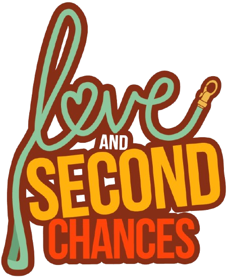 Love and Second Chances