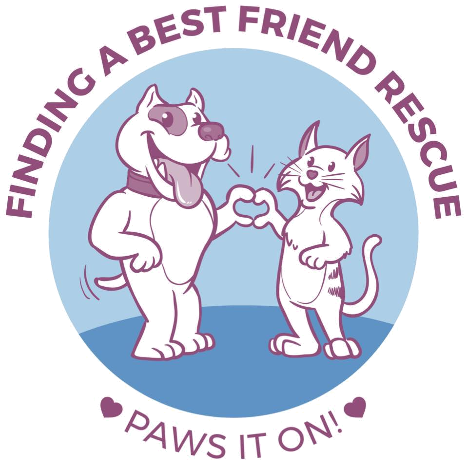 Finding A Best Friend Rescue
