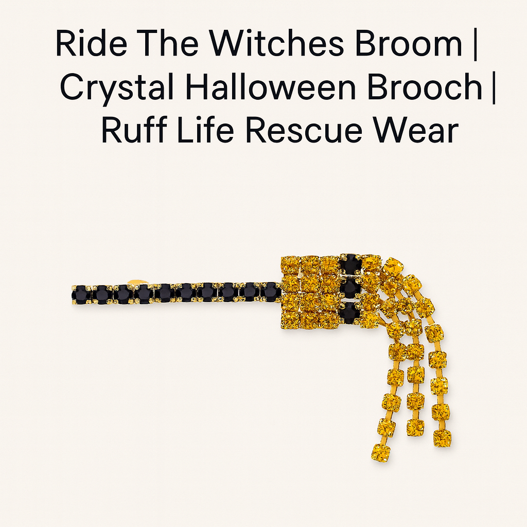 Ride the Witch’s Broom | Crystal Halloween Brooch