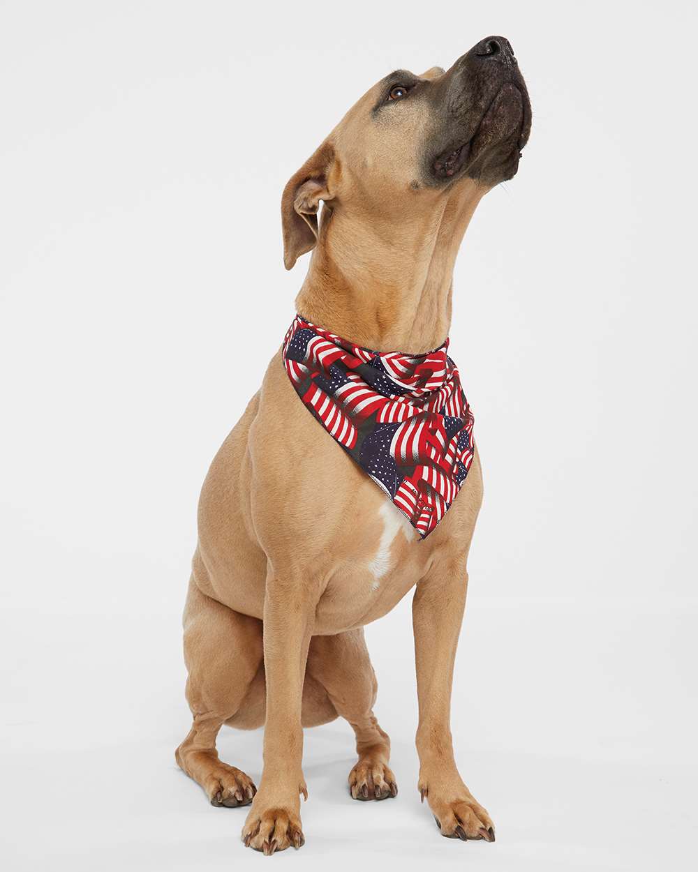 Patriotic Doggie Bandana