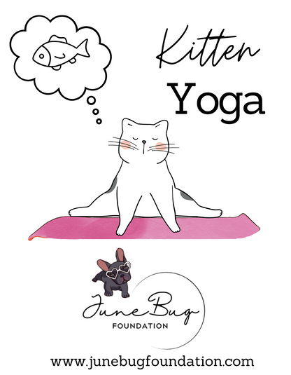 June Bug Kitten Yoga TANK (Available in many colors) - Ruff Life Rescue Wear