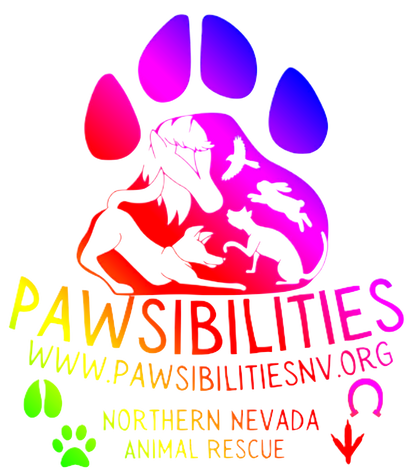 Pride Paws Tee