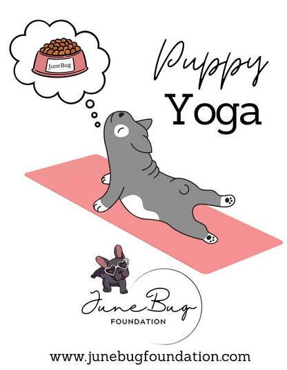June Bug YOGA FLOWY TANK (available in several new colors) - Ruff Life Rescue Wear