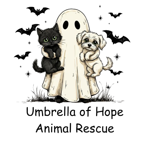 Umbrella of Hope Halloween Triblend Tee - Ruff Life Rescue Wear