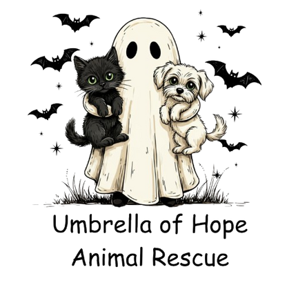 Umbrella of Hope Halloween Triblend Tee - Ruff Life Rescue Wear