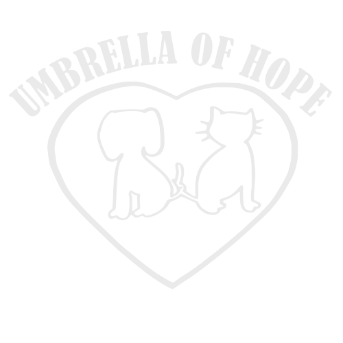 Umbrella of Hope Glitter Vinyl Decal (Available In Several Colors)