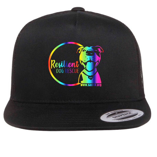 Resilient Dog Rescue Rainbow Logo Flat Bill Snapback Hat - Ruff Life Rescue Wear