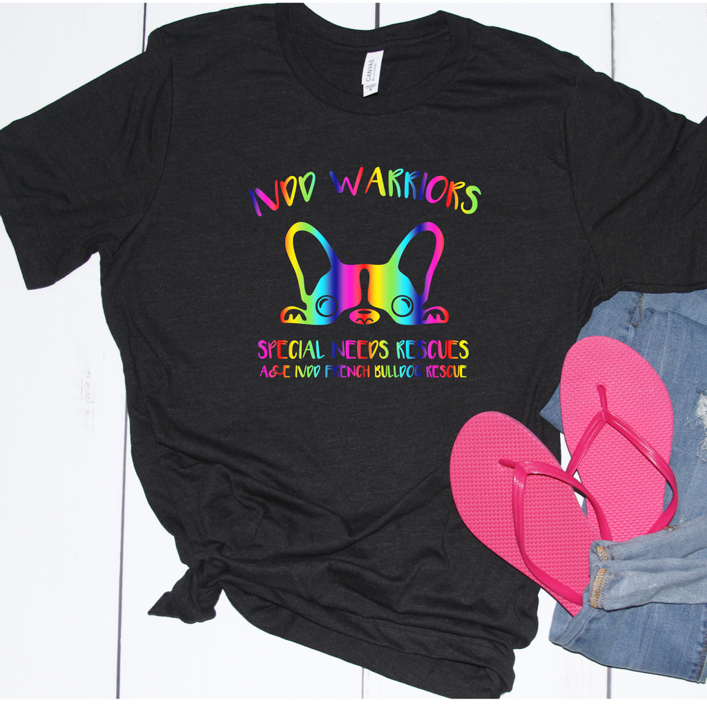 IVDD Pride Unisex Tee