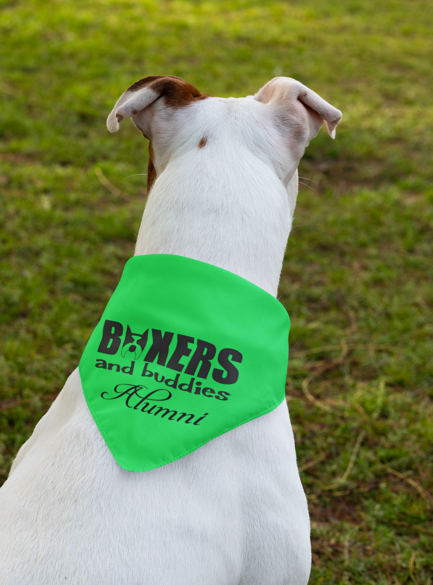Boxers and Buddies Doggie Bandana (available in several colors) - Ruff Life Rescue Wear