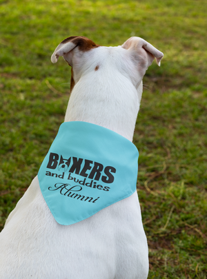 Boxers and Buddies Doggie Bandana (available in several colors)