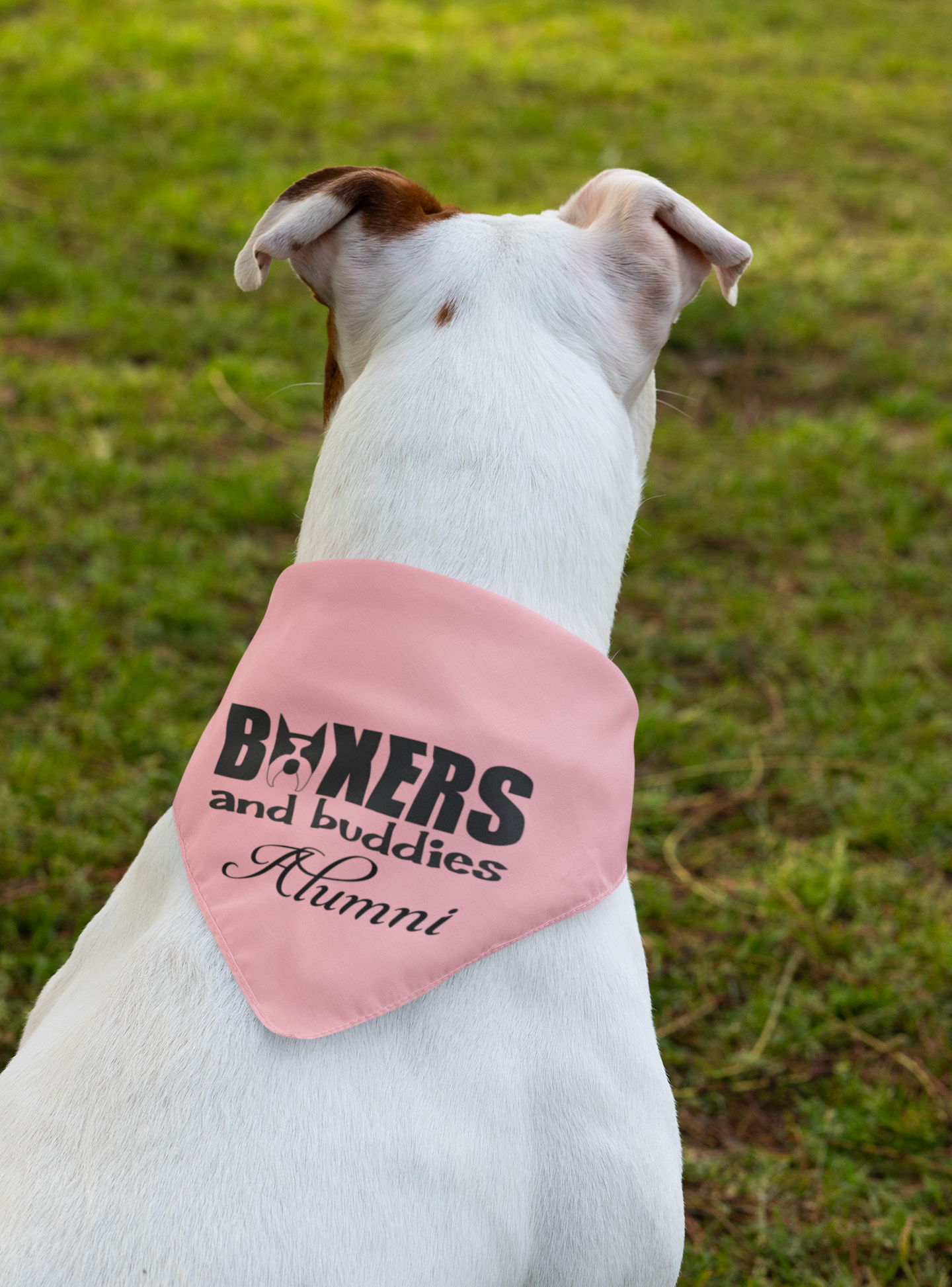 Boxers and Buddies Doggie Bandana (available in several colors) - Ruff Life Rescue Wear