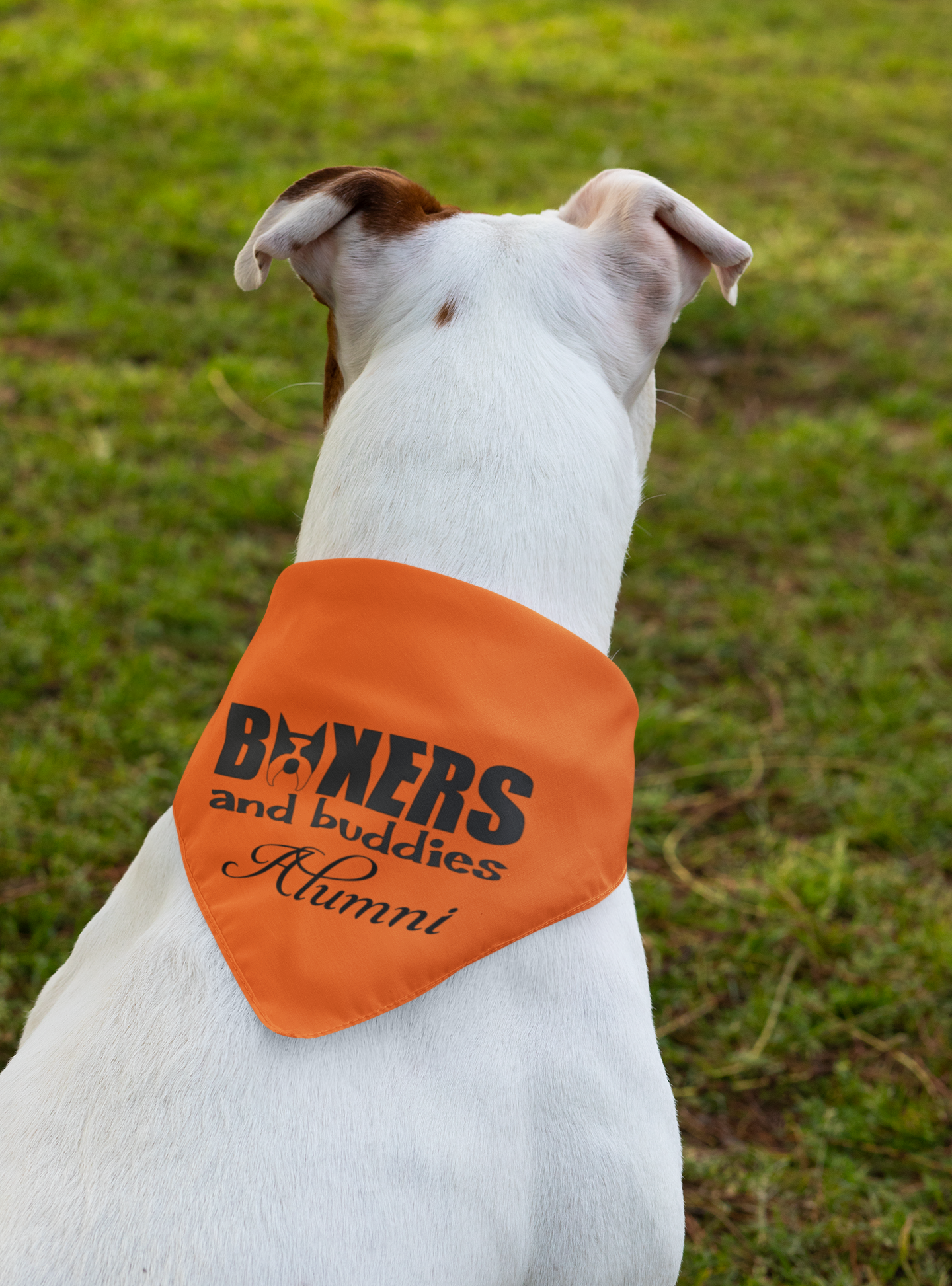 Boxers and Buddies Doggie Bandana (available in several colors) - Ruff Life Rescue Wear