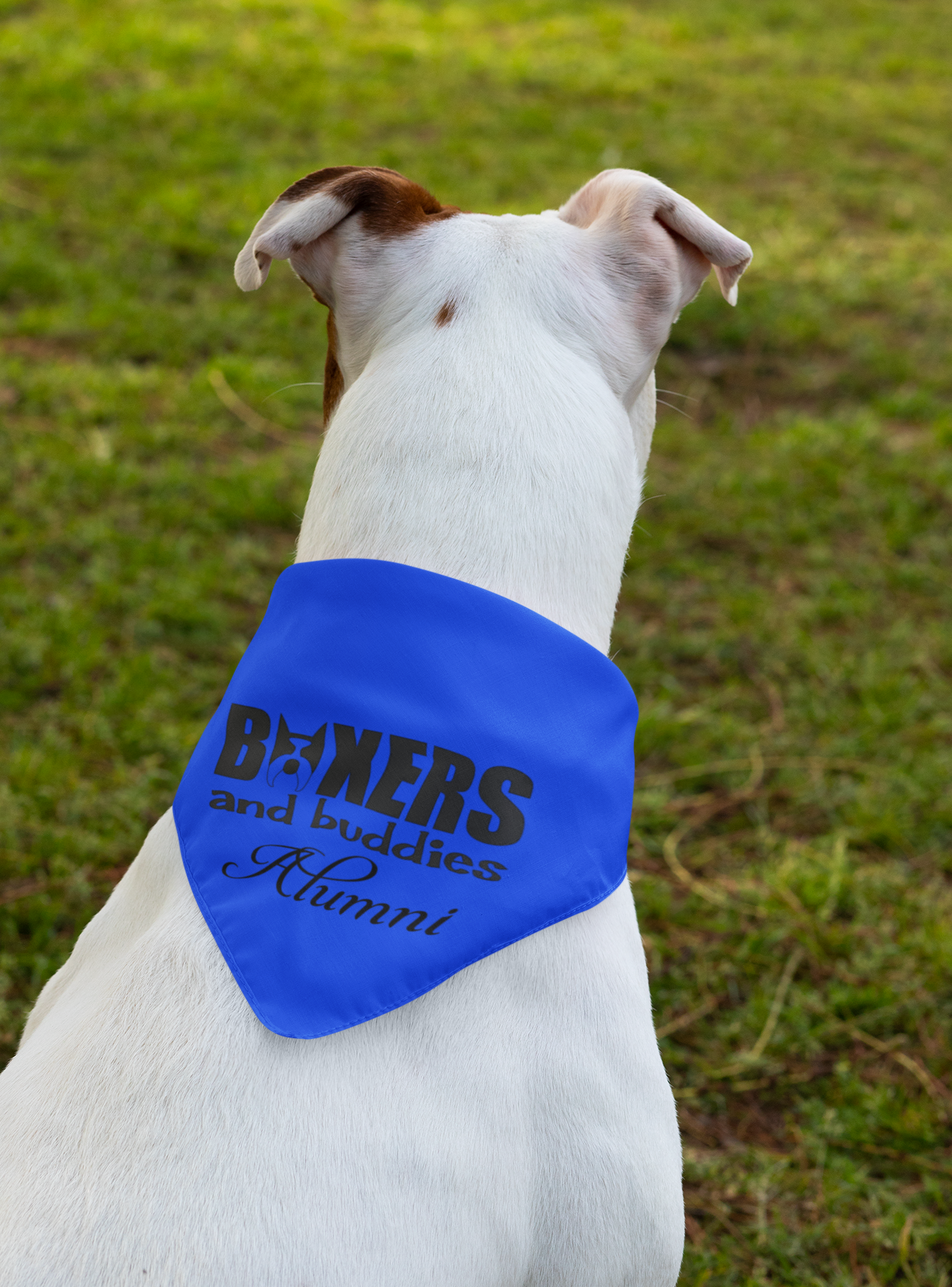 Boxers and Buddies Doggie Bandana (available in several colors)