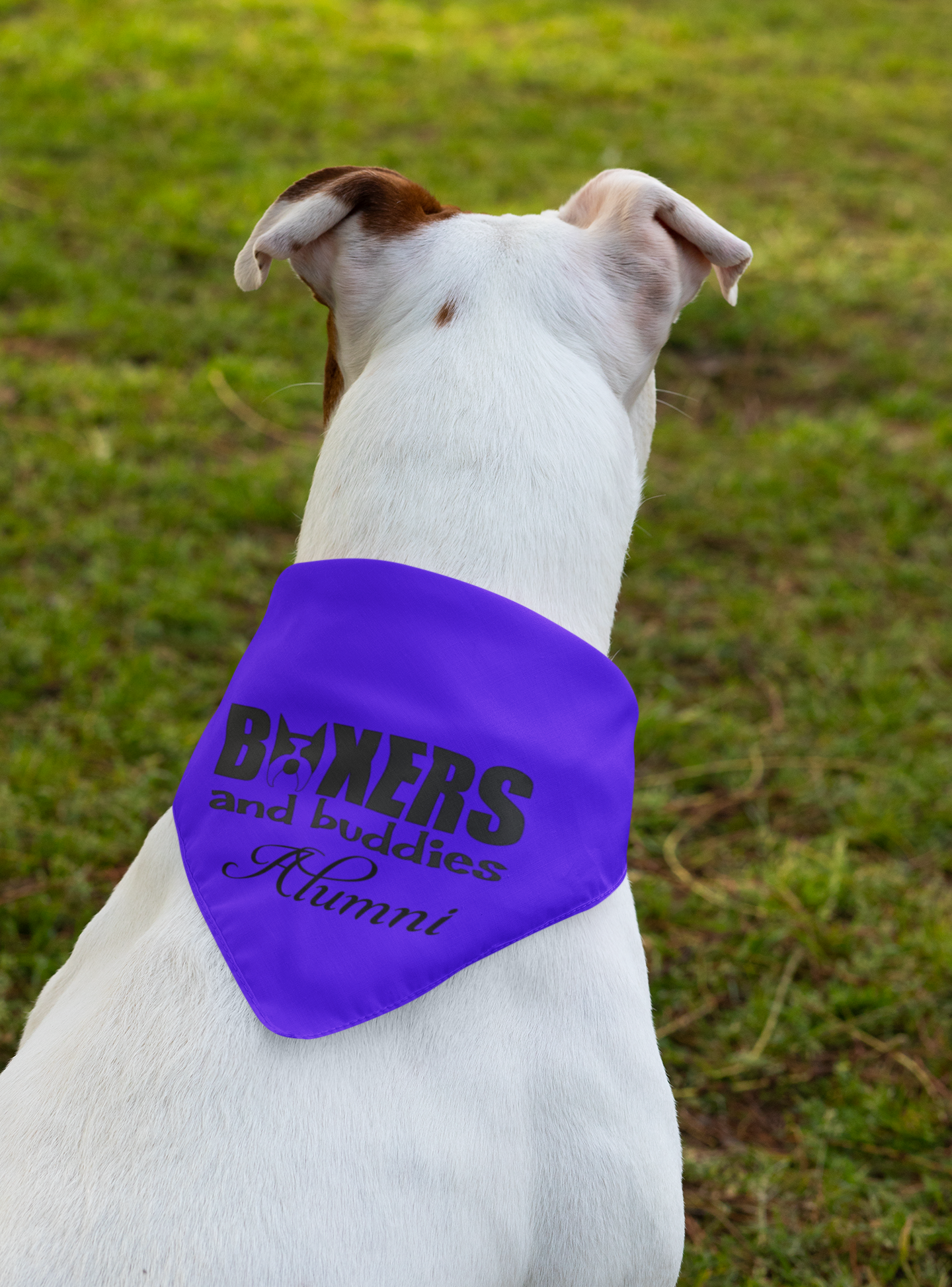 Boxers and Buddies Doggie Bandana (available in several colors) - Ruff Life Rescue Wear
