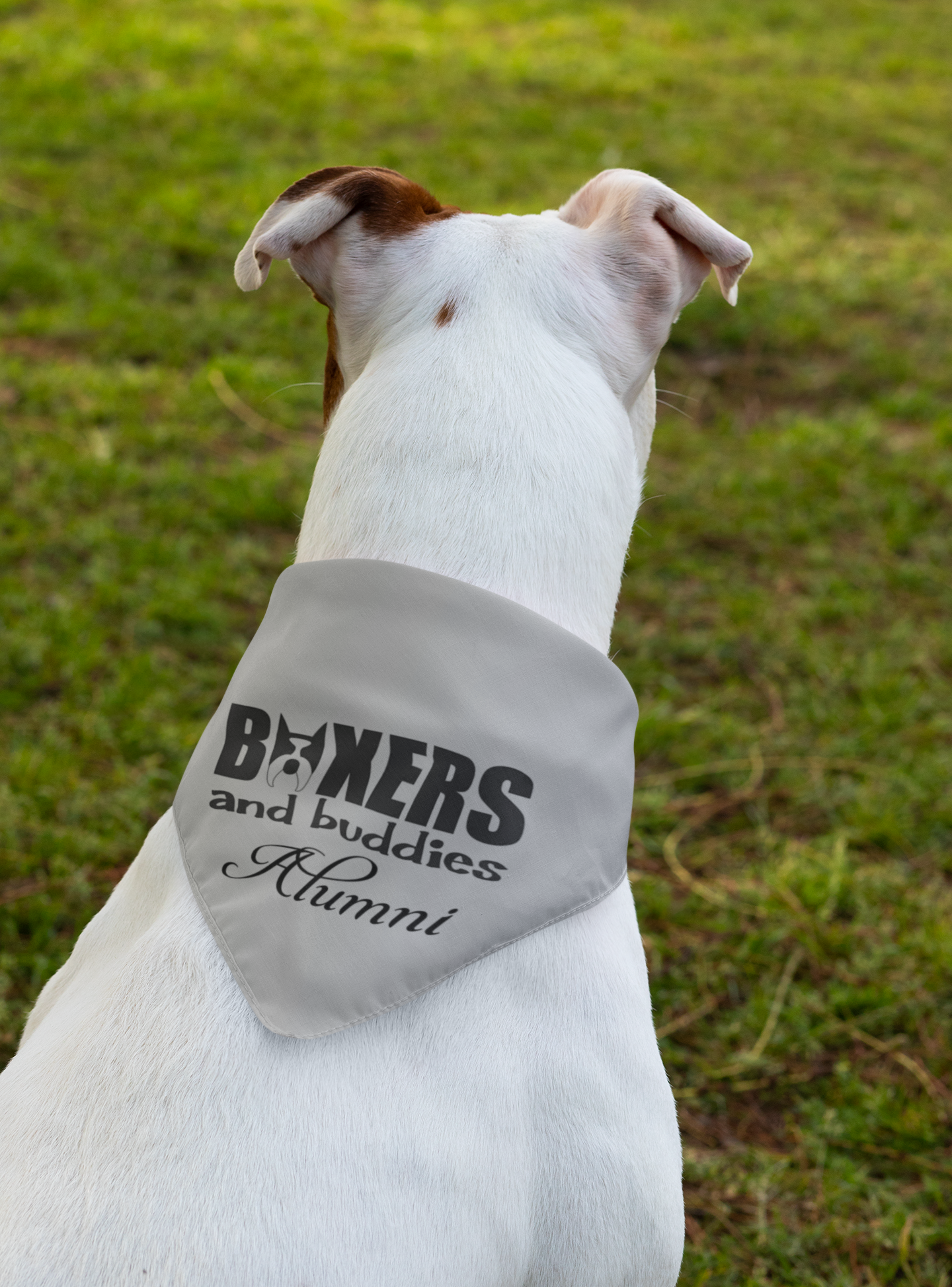 Boxers and Buddies Doggie Bandana (available in several colors) - Ruff Life Rescue Wear