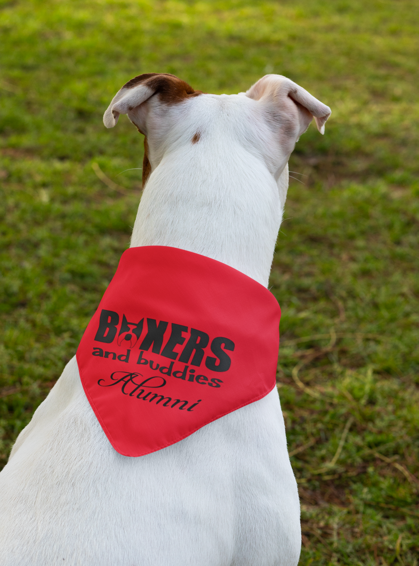 Boxers and Buddies Doggie Bandana (available in several colors) - Ruff Life Rescue Wear