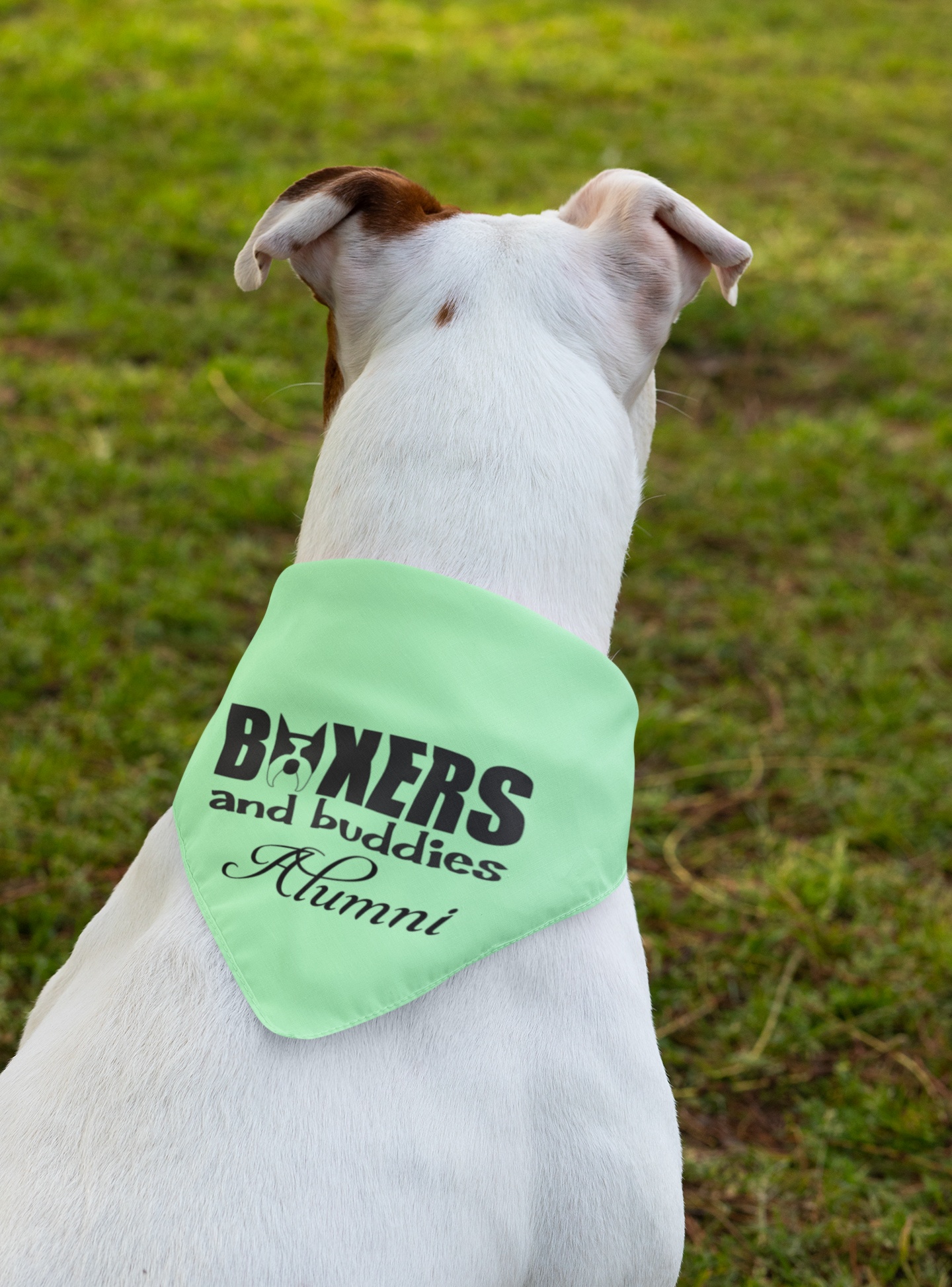 Boxers and Buddies Doggie Bandana (available in several colors) - Ruff Life Rescue Wear