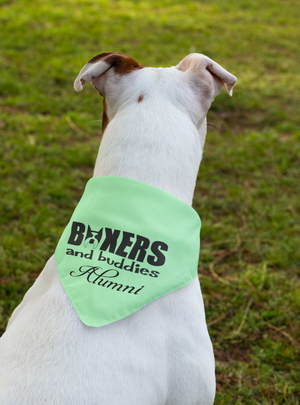 Boxers and Buddies Doggie Bandana (available in several colors)