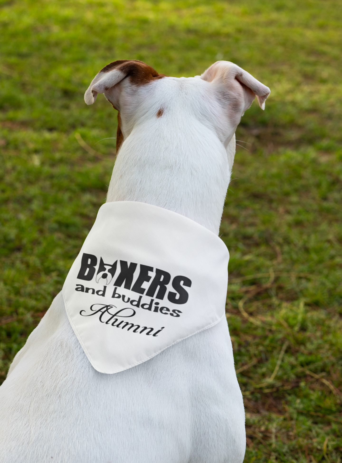 Boxers and Buddies Doggie Bandana (available in several colors)