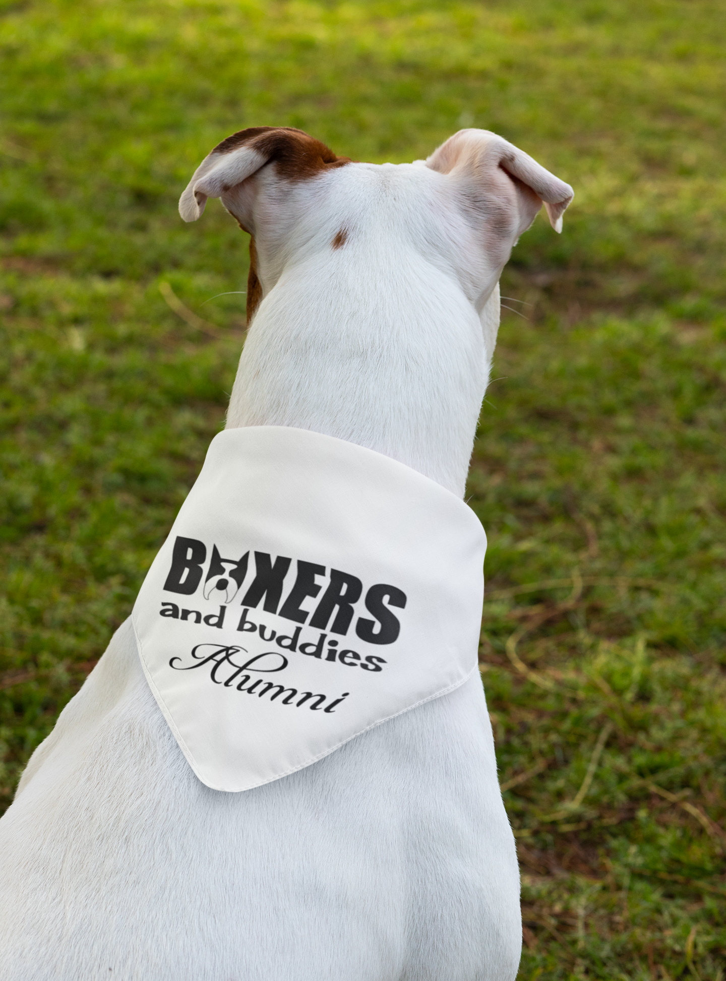 Boxers and Buddies Doggie Bandana (available in several colors) - Ruff Life Rescue Wear