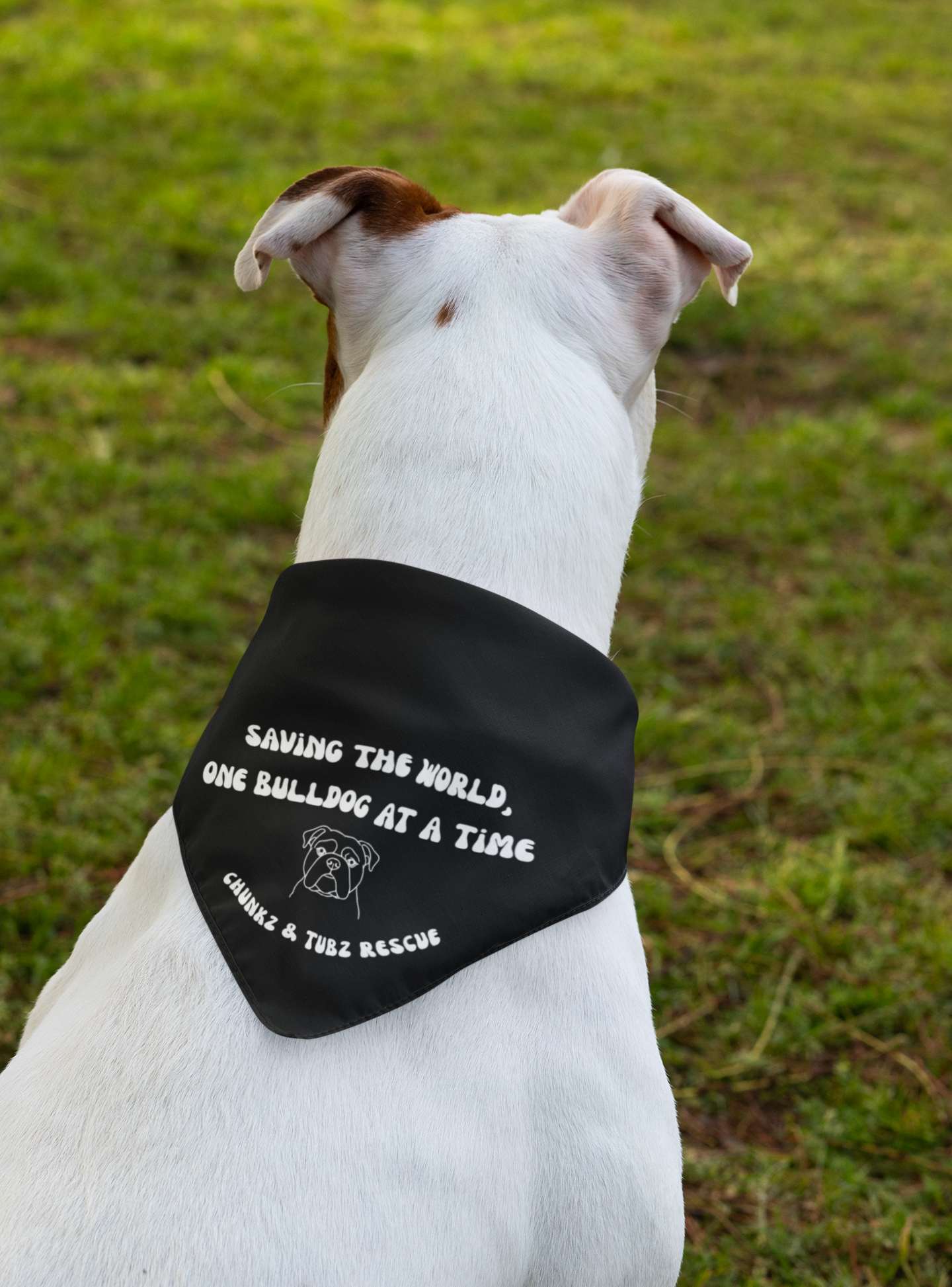 Chunkz & Tubz Bandana (available in several colors) - Ruff Life Rescue Wear