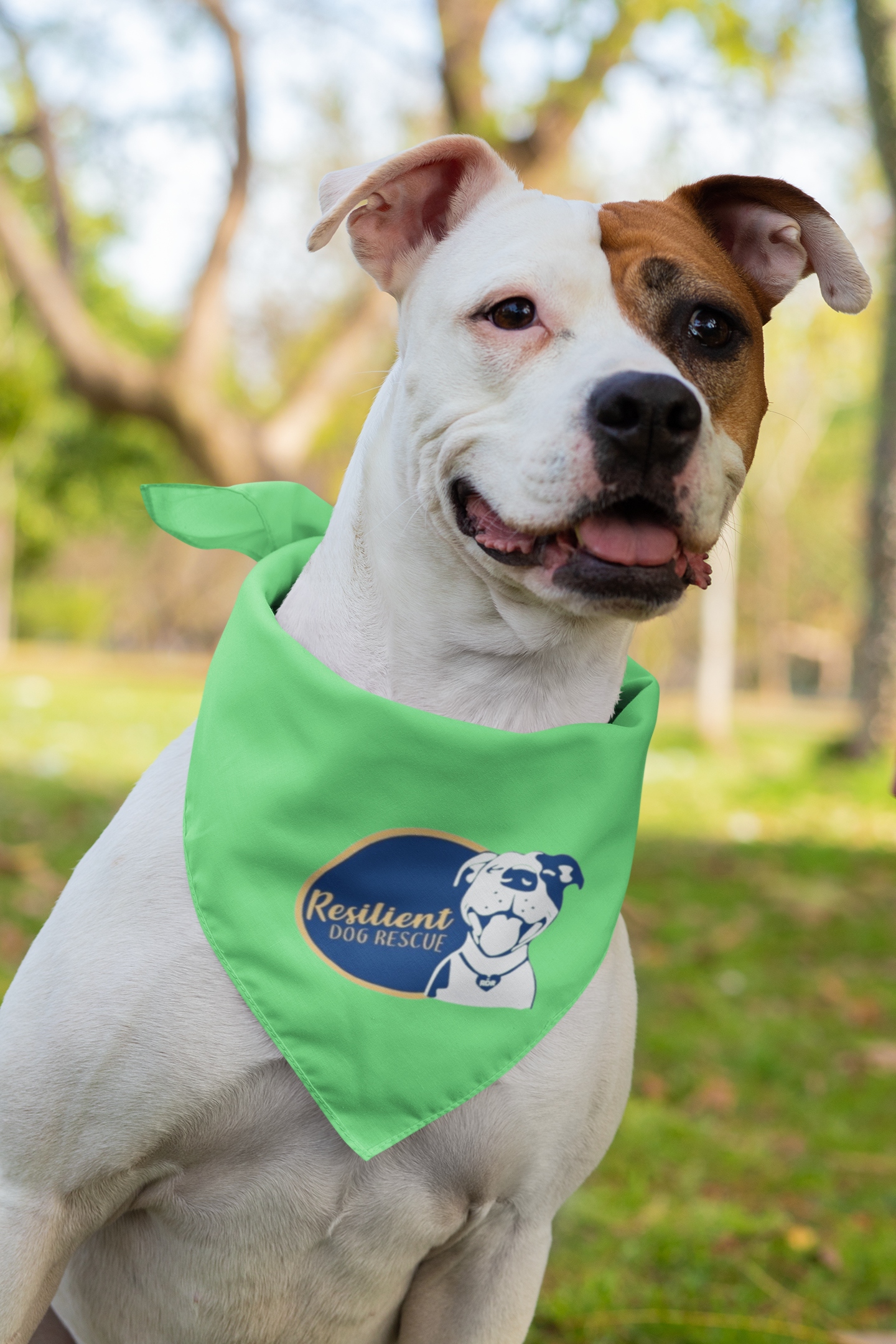 Resilient Doggie Bandana (available in several colors)