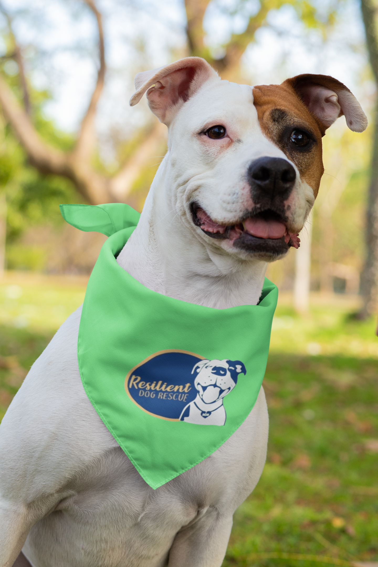 Resilient Doggie Bandana (available in several colors) - Ruff Life Rescue Wear
