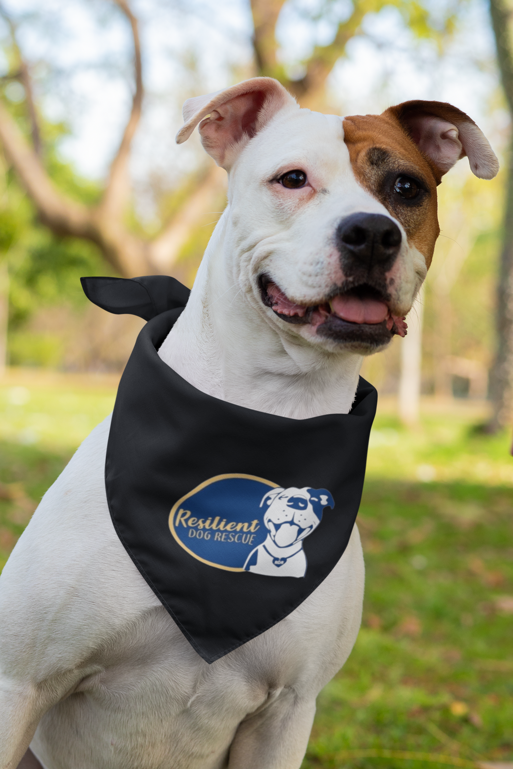 Resilient Doggie Bandana (available in several colors)