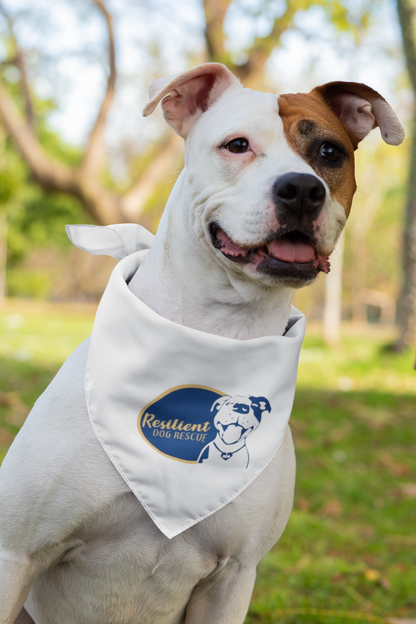 Resilient Doggie Bandana (available in several colors) - Ruff Life Rescue Wear