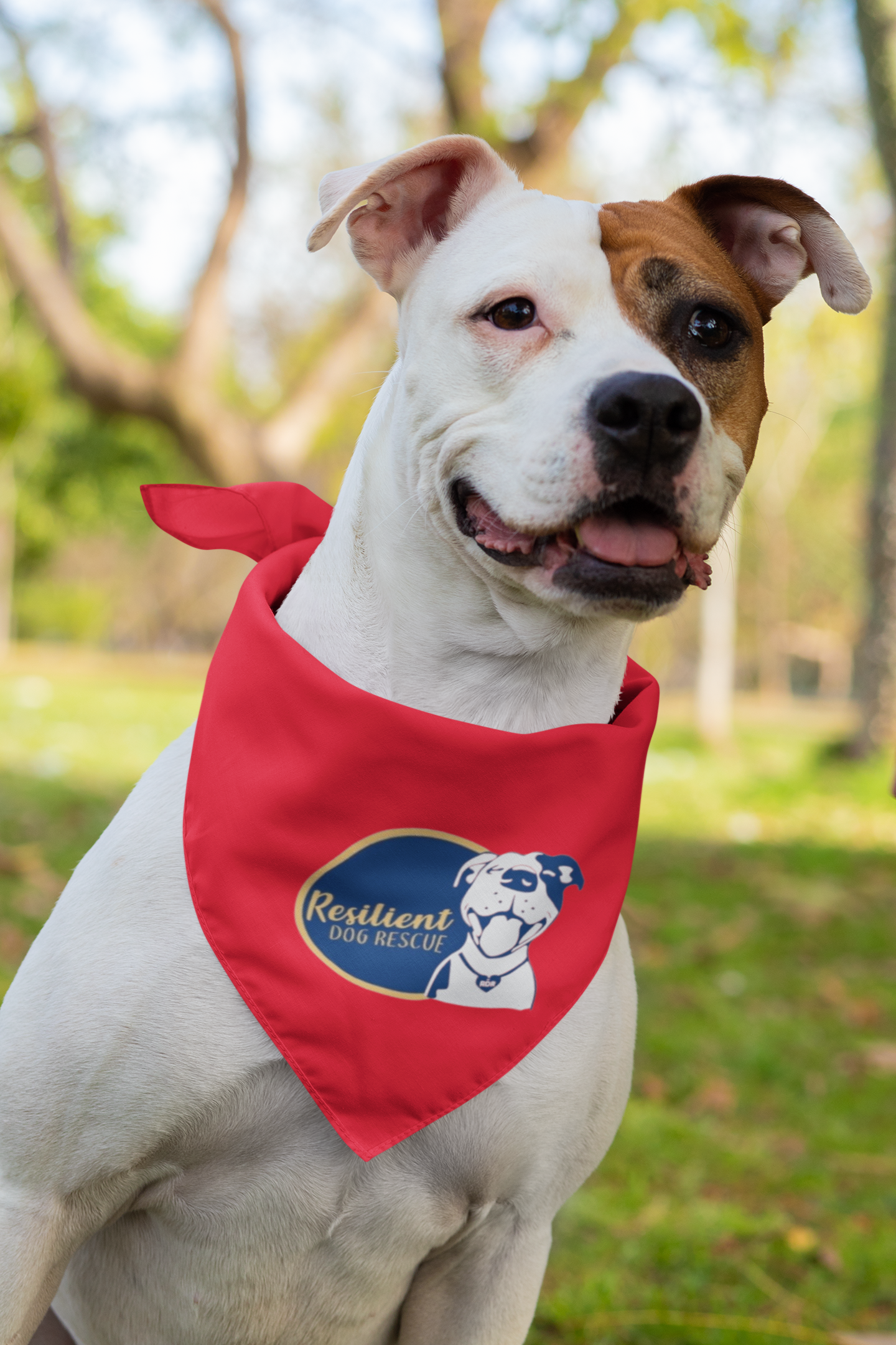 Resilient Doggie Bandana (available in several colors)