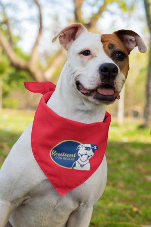 Resilient Doggie Bandana (available in several colors)