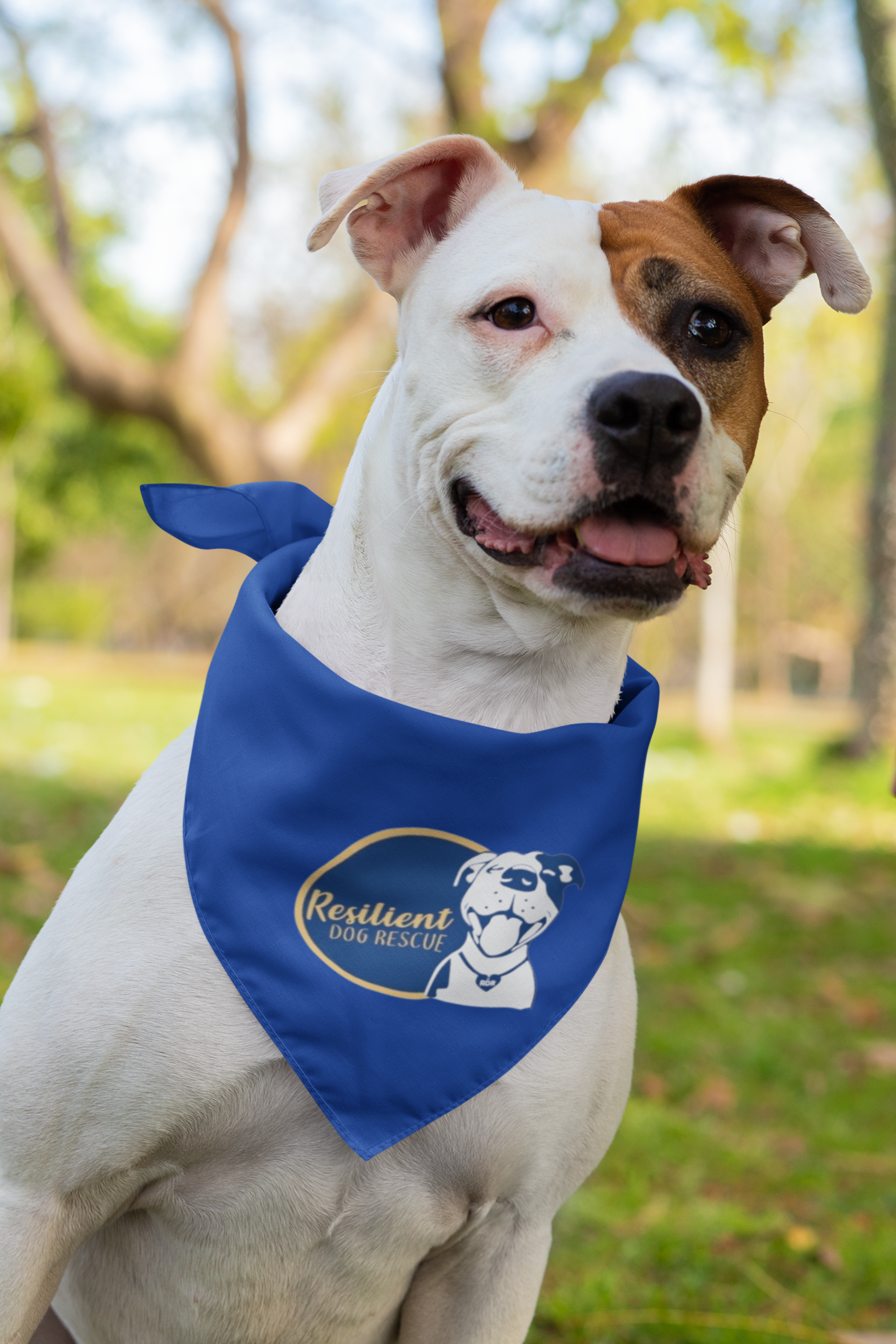 Resilient Doggie Bandana (available in several colors) - Ruff Life Rescue Wear