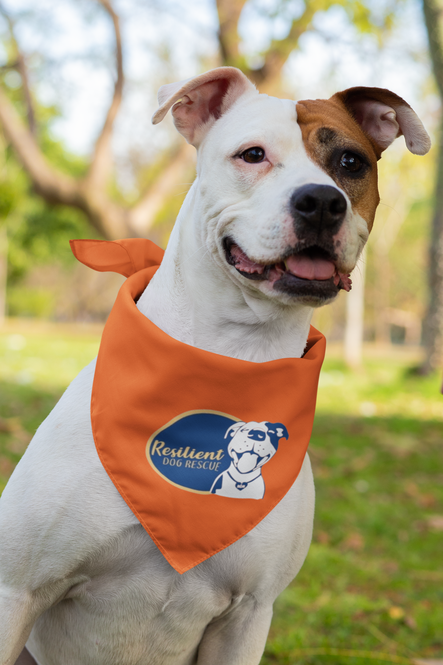 Resilient Doggie Bandana (available in several colors) - Ruff Life Rescue Wear