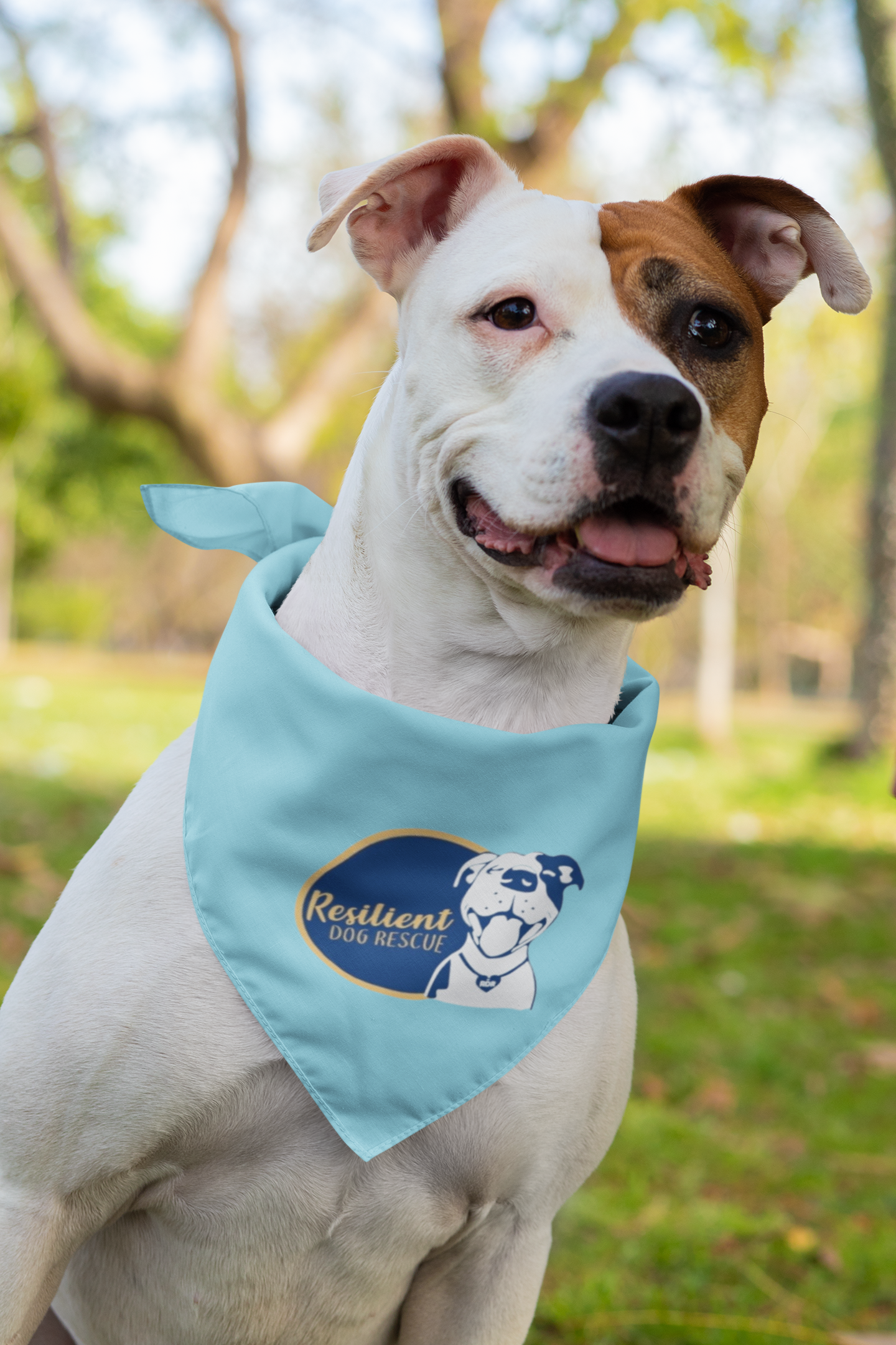 Resilient Doggie Bandana (available in several colors)