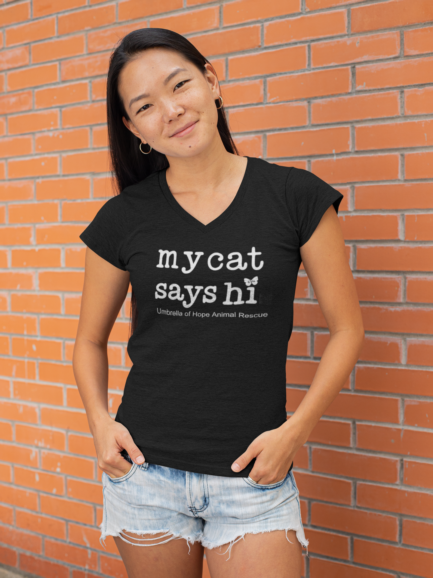 Cat Says Hi Relaxed Triblend V-Neck Tee