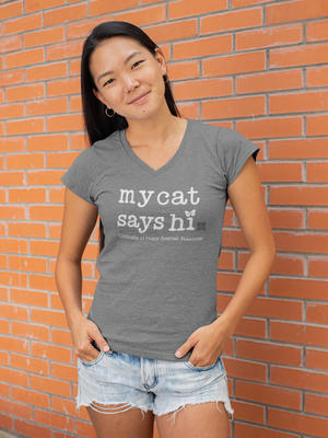 Cat Says Hi Relaxed Triblend V-Neck Tee