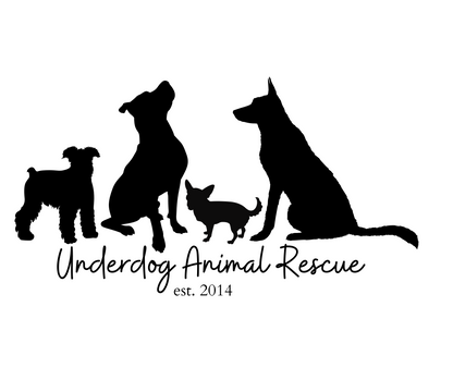 Dog Silhouette V Neck Tee - Ruff Life Rescue Wear