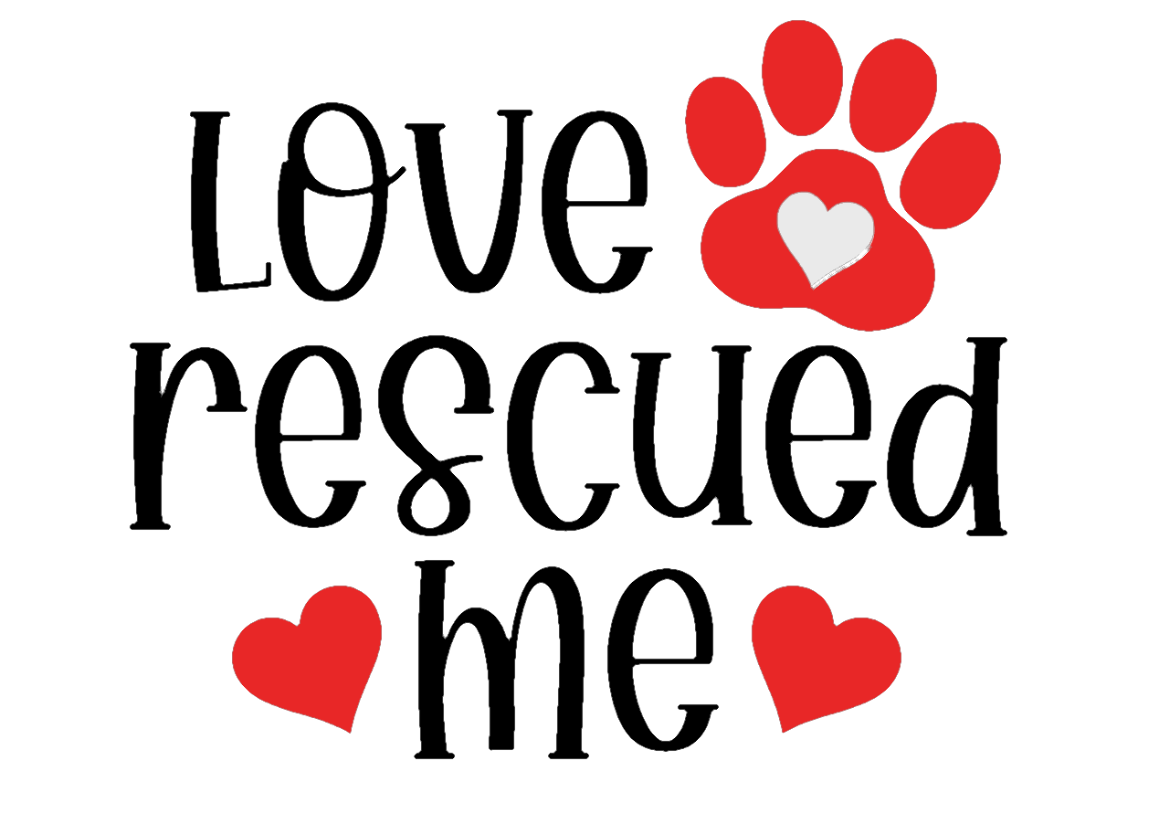 Lily's Rescued Tee (available in several colors) - Ruff Life Rescue Wear