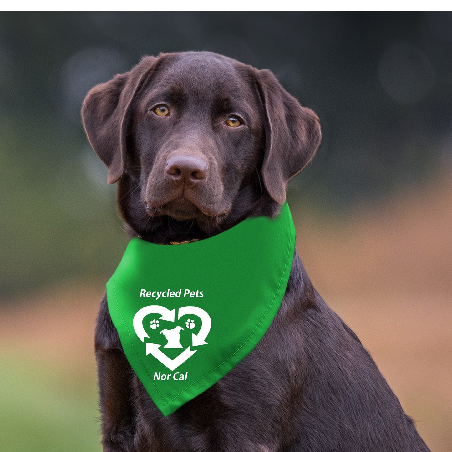 Recycled Pets NorCal Doggie Bandana - Ruff Life Rescue Wear