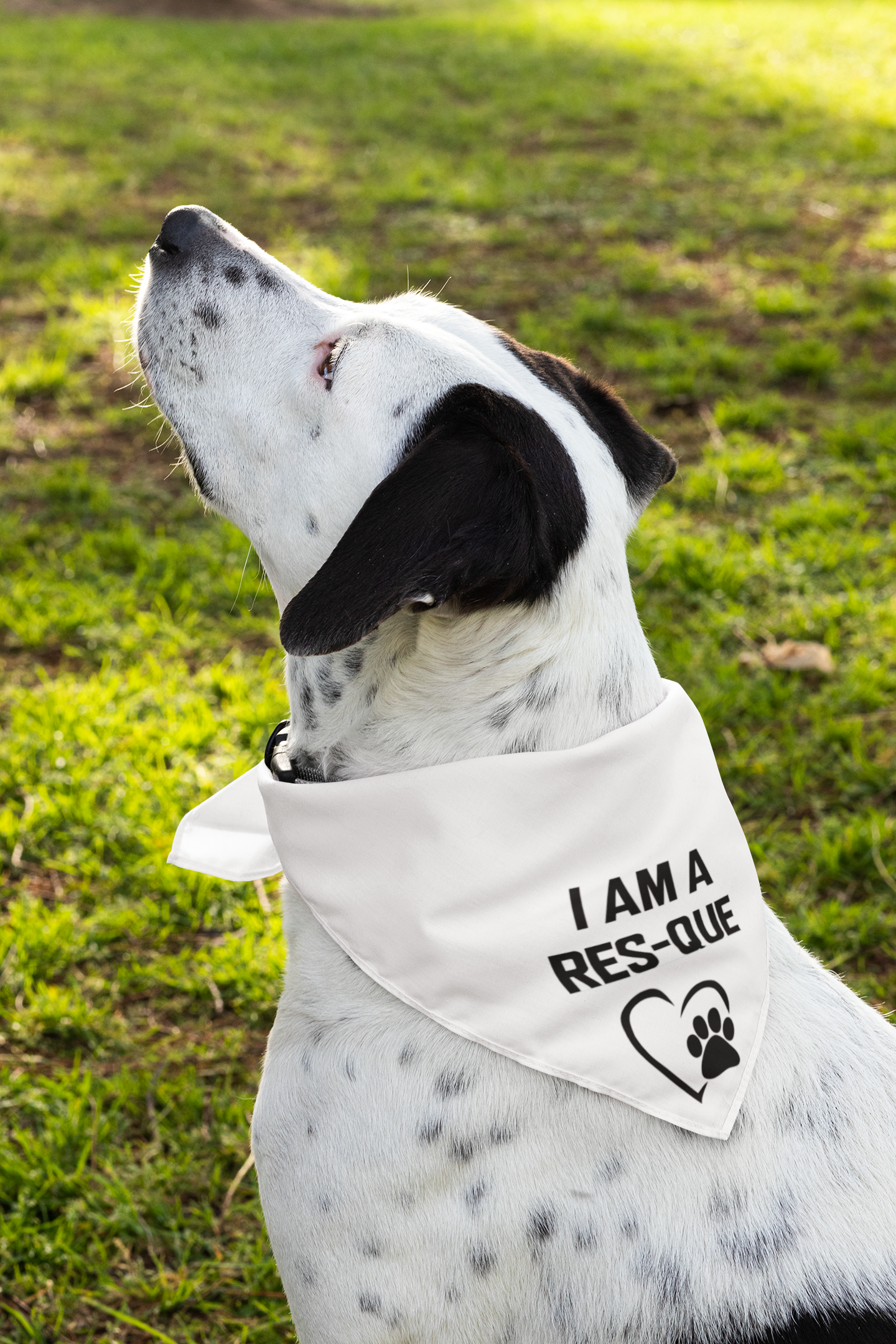 Res-Que Doggie Bandana - Ruff Life Rescue Wear