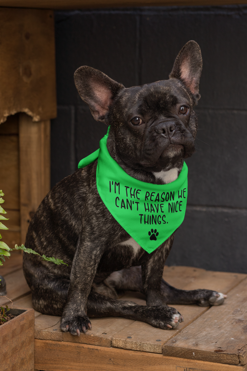 Nice Things Doggie Bandana - Ruff Life Rescue Wear