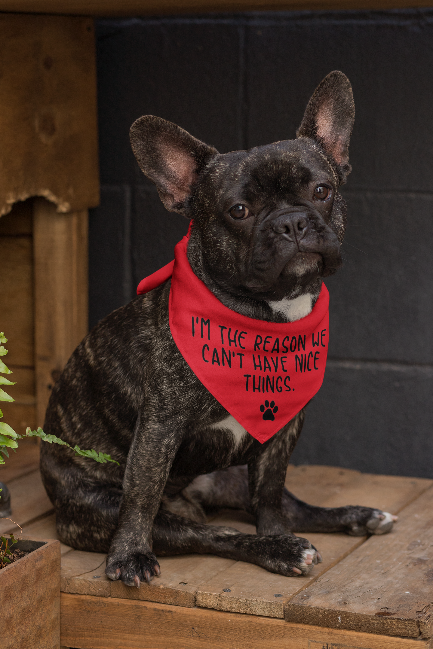 Nice Things Doggie Bandana - Ruff Life Rescue Wear