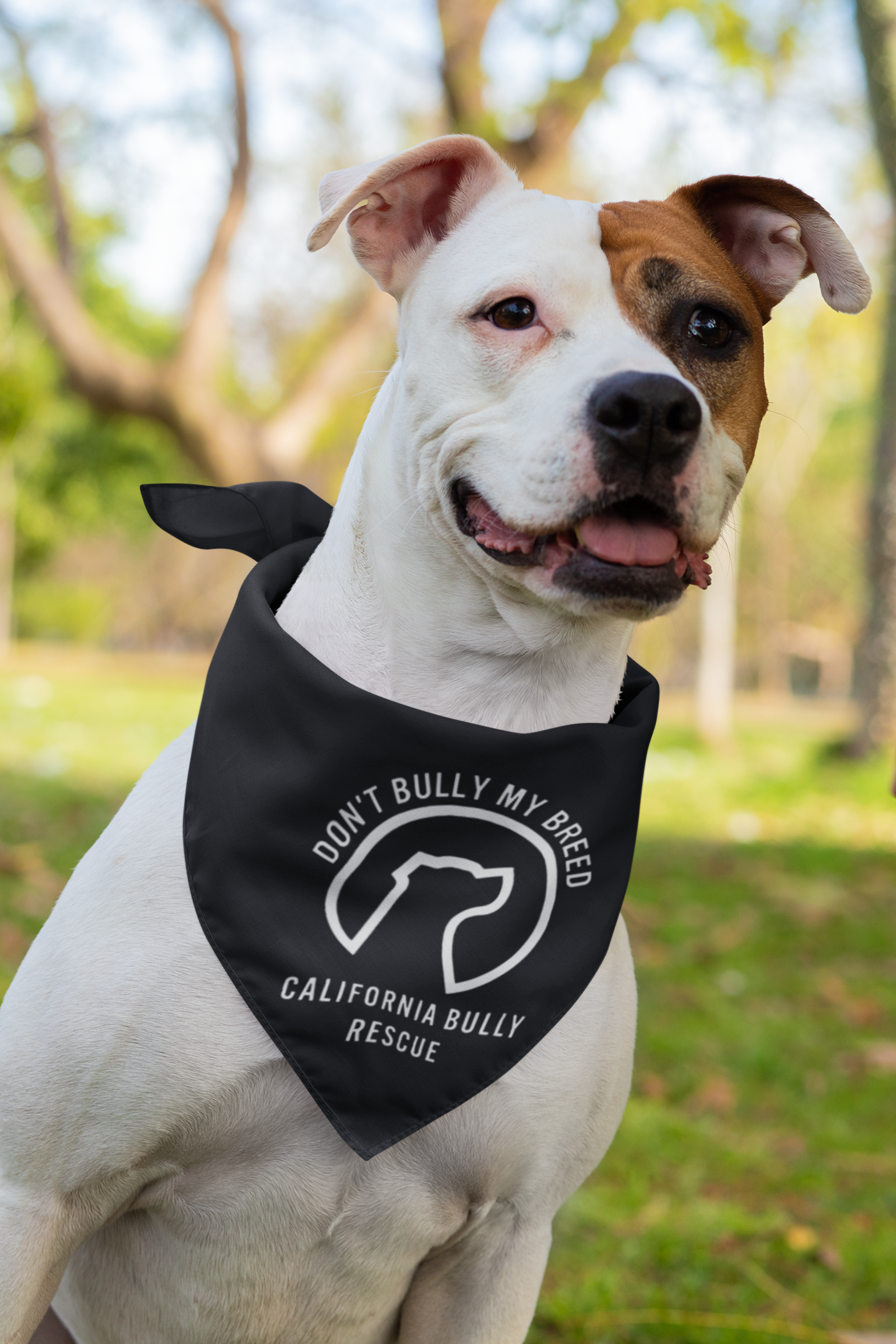 California Bully Rescue Doggie Bandana - Ruff Life Rescue Wear