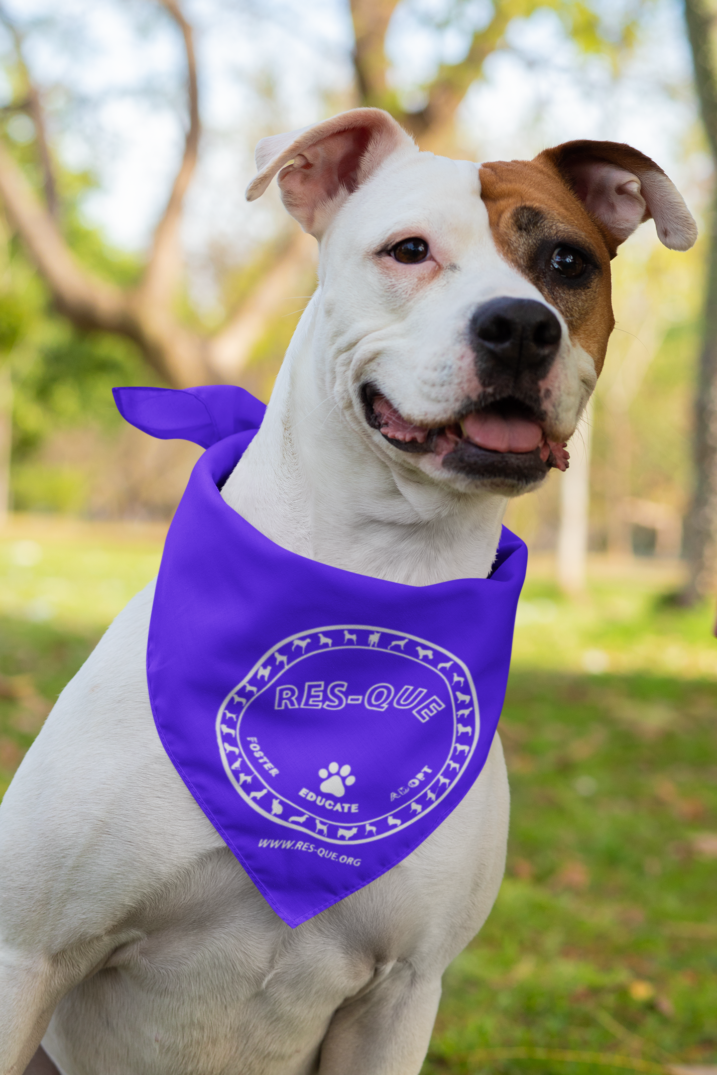Res-Que Logo Doggie Bandana - Ruff Life Rescue Wear