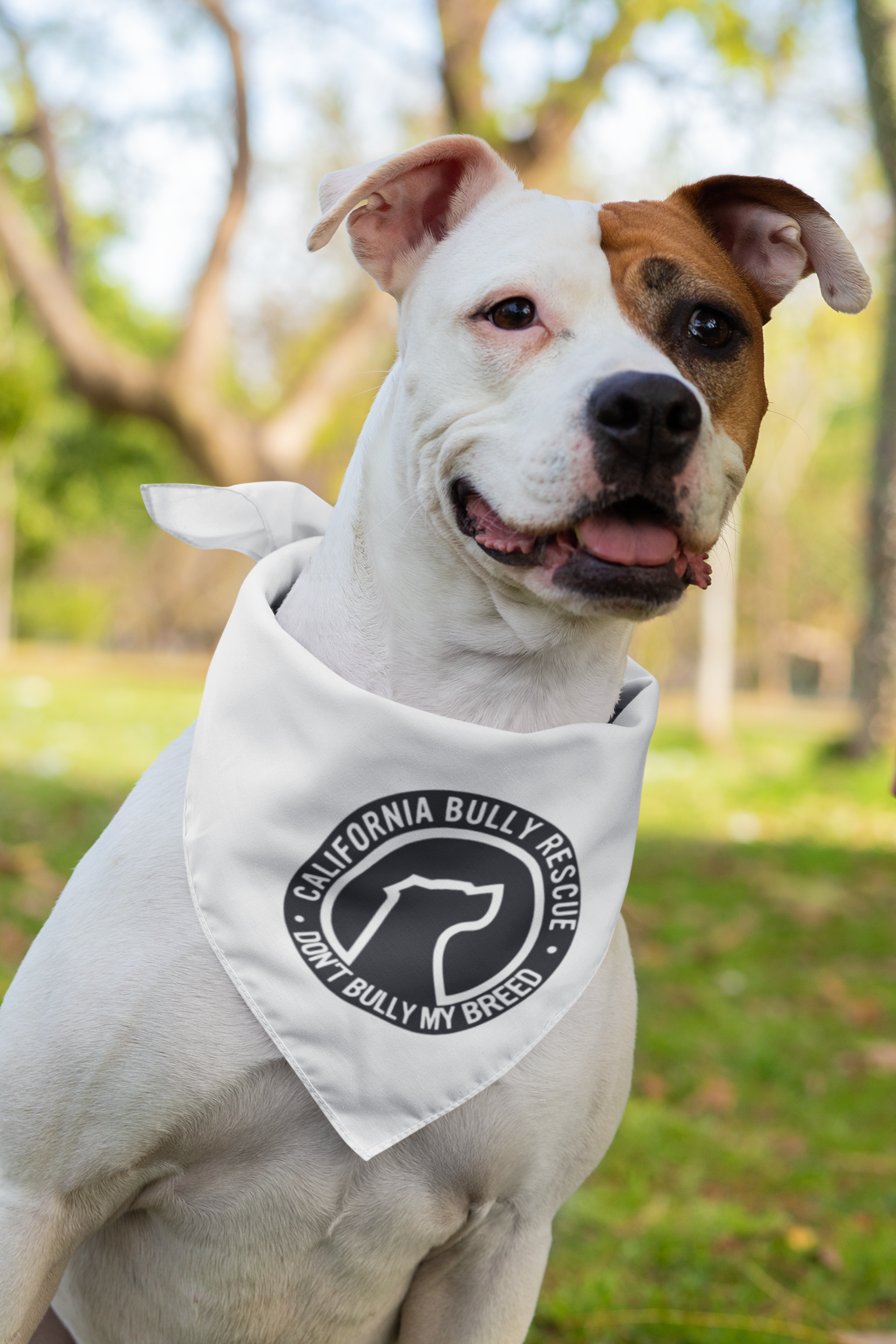 CA Bully Rescue Doggie Bandana (available in several colors) - Ruff Life Rescue Wear